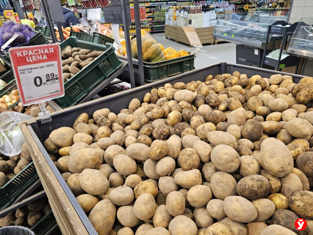 Картошка Борисов