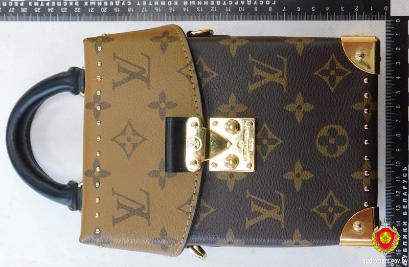 Брестчанка заявила о краже сумки Louis Vuitton — эксперты оценили её в 101 рубль
