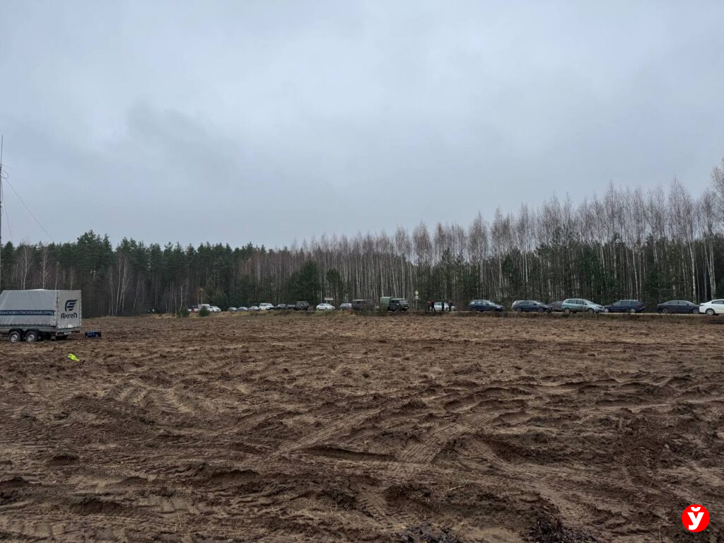 Поиски Березино