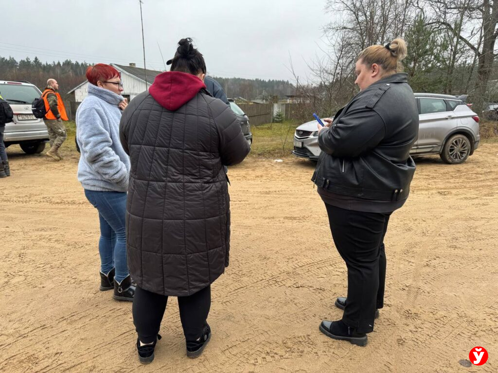 Поиски Березино