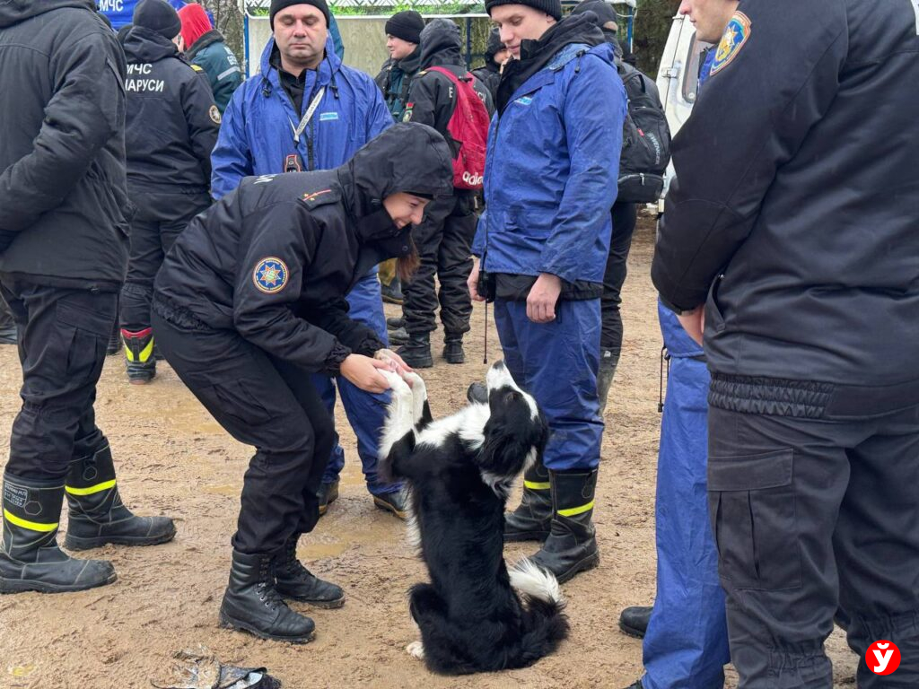«Пока горят фары квадроциклов — надежда жива». Добровольцы продолжают поиски Максима Зеньковича