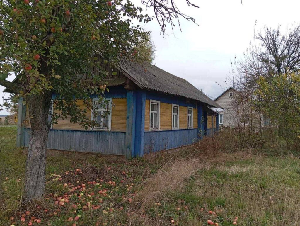 Дом с асфальтом и электричеством за 42 рубля — где продают в Клецком районе