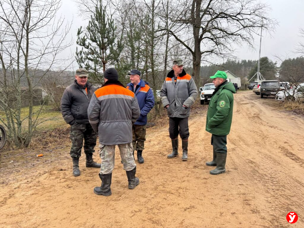 «С лесом дружу»: доброволец из Крупского лесхоза о поисках в Березинском районе