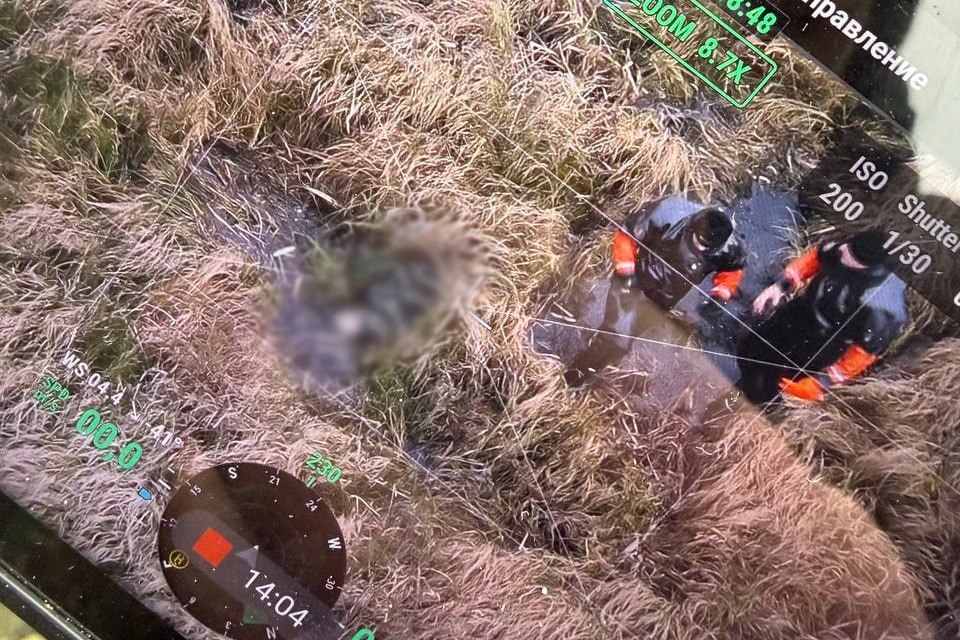 Найден труп пропавшего Максима Зеньковича