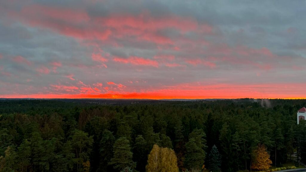 Туман утром, облачность днем: погода в Беларуси 14 ноября