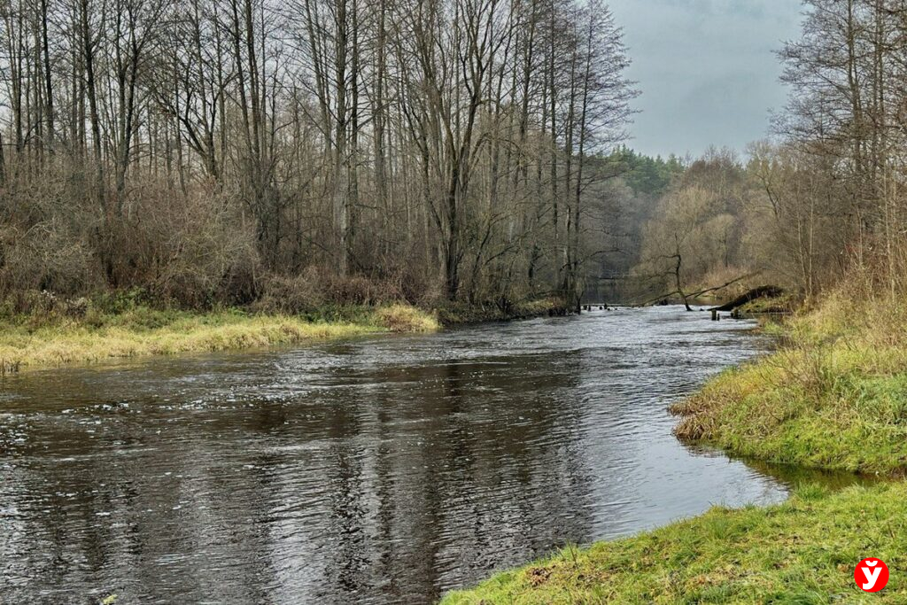 Сельский блогер из Вилейского района покорил TikTok искренними рассказами о деревенской жизни