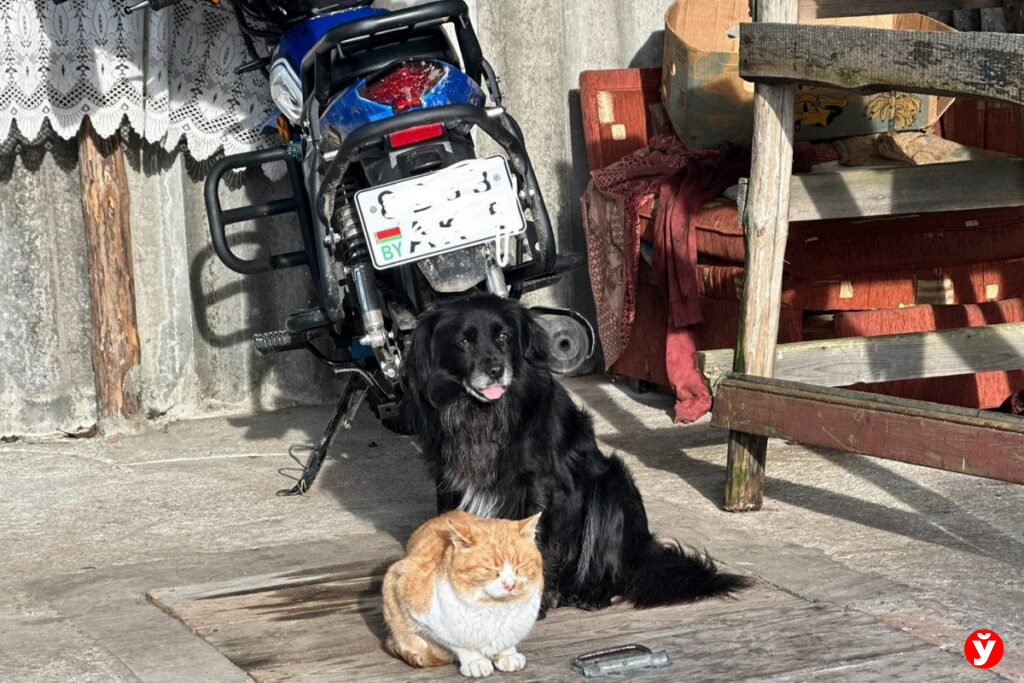 Сельский блогер из Вилейского района покорил TikTok искренними рассказами о деревенской жизни