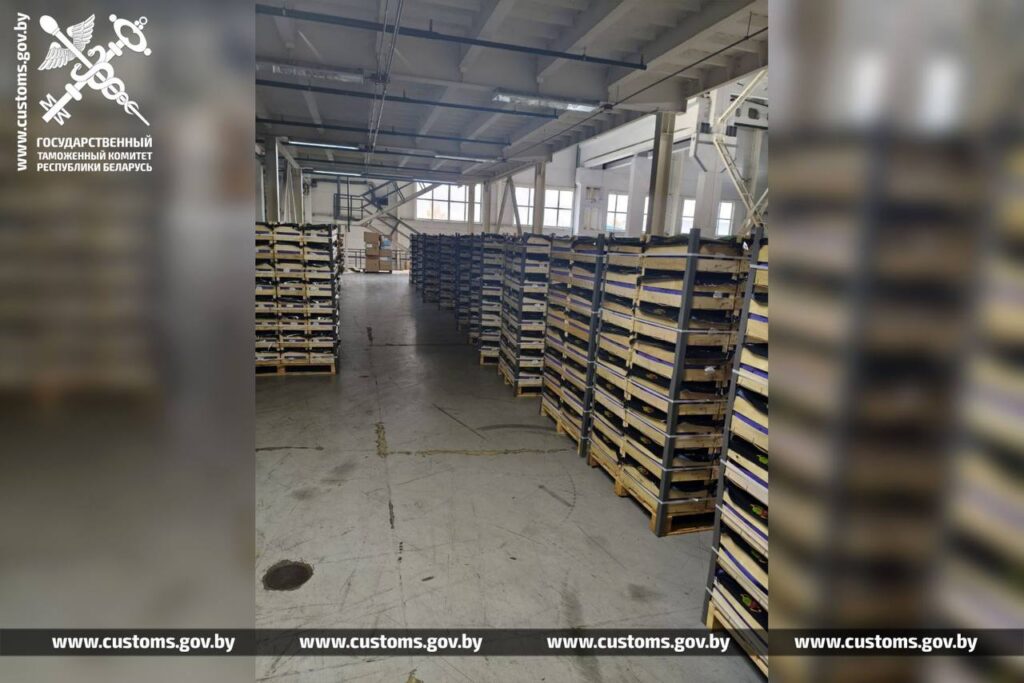 Несладкая сделка: таможня не пустила партию груш в РФ почти на полмиллиона рублей