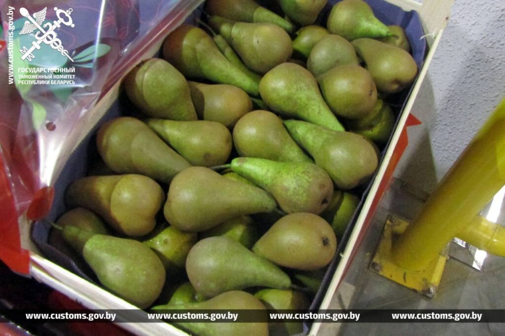 Несладкая сделка: таможня не пустила партию груш в РФ почти на полмиллиона рублей