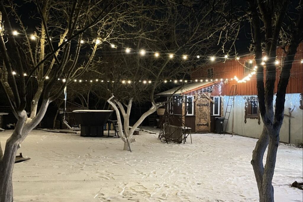 Ноябрьский провал. Как мы искали усадьбу на Новый год и обнаружили, что почти все уже 3 месяца как кончились