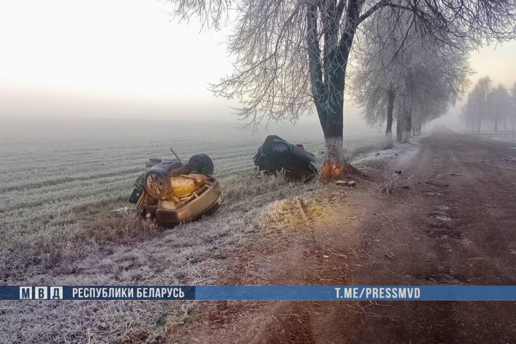 Автомобиль разорвало на части — в ДТП на Гомельщине двое погибших