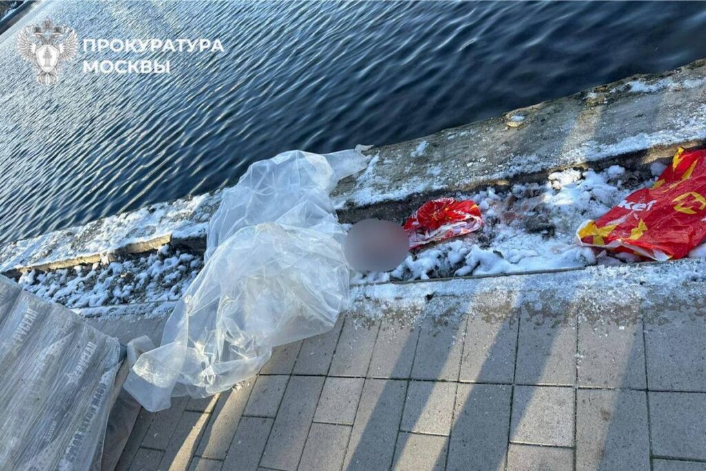 В Москве обнаружены останки ребенка — мать призналась, что обезглавила сына