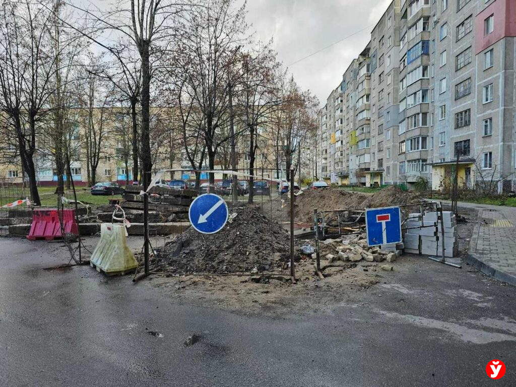 Борисов, проблема