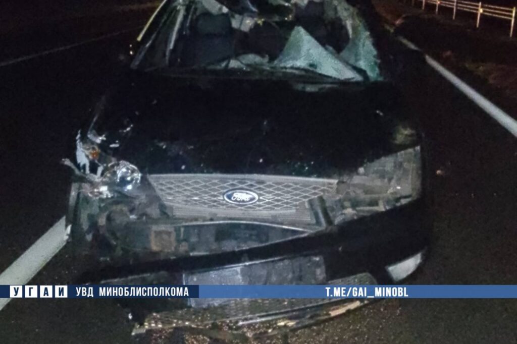 ДТП с лосем на трассе М4 под Березино — водитель госпитализирован