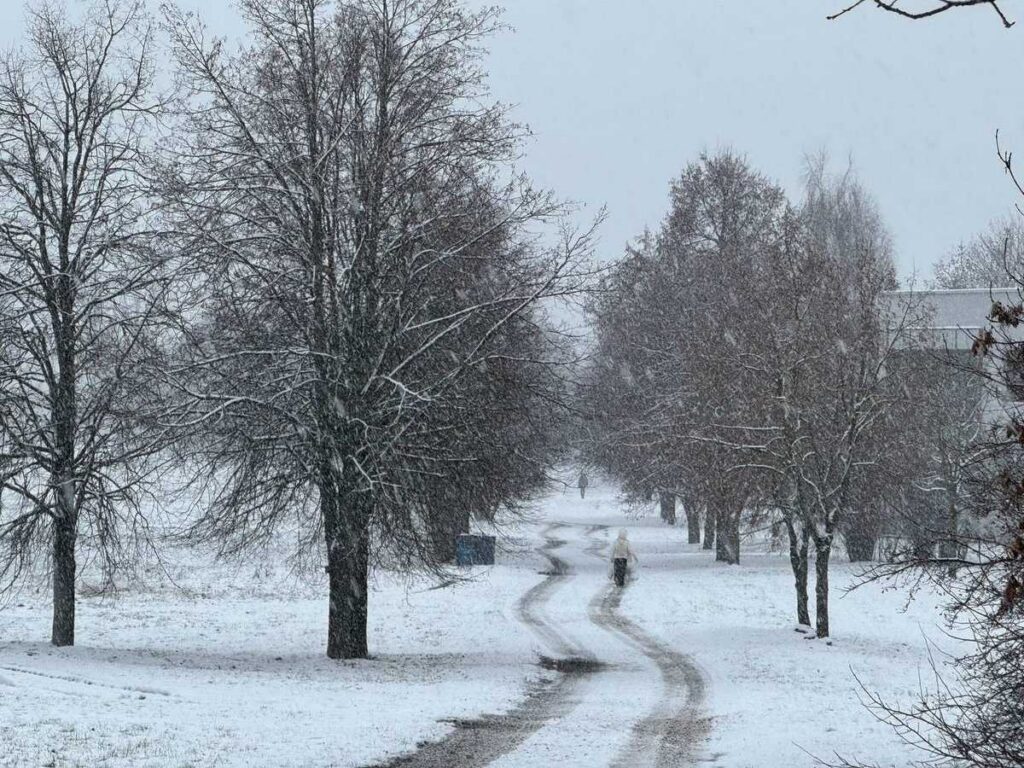 В Минске появится «Парк кино»