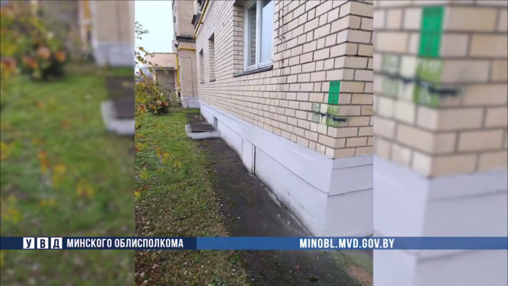 30-летнему безработному из Минского района грозит до 15 лет за пакеты с порошком