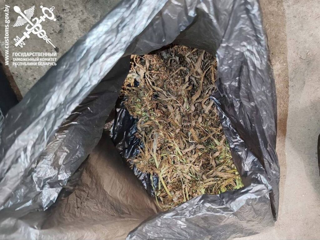 Гомельские таможенники задержали жителя Жлобина с крупной партией марихуаны