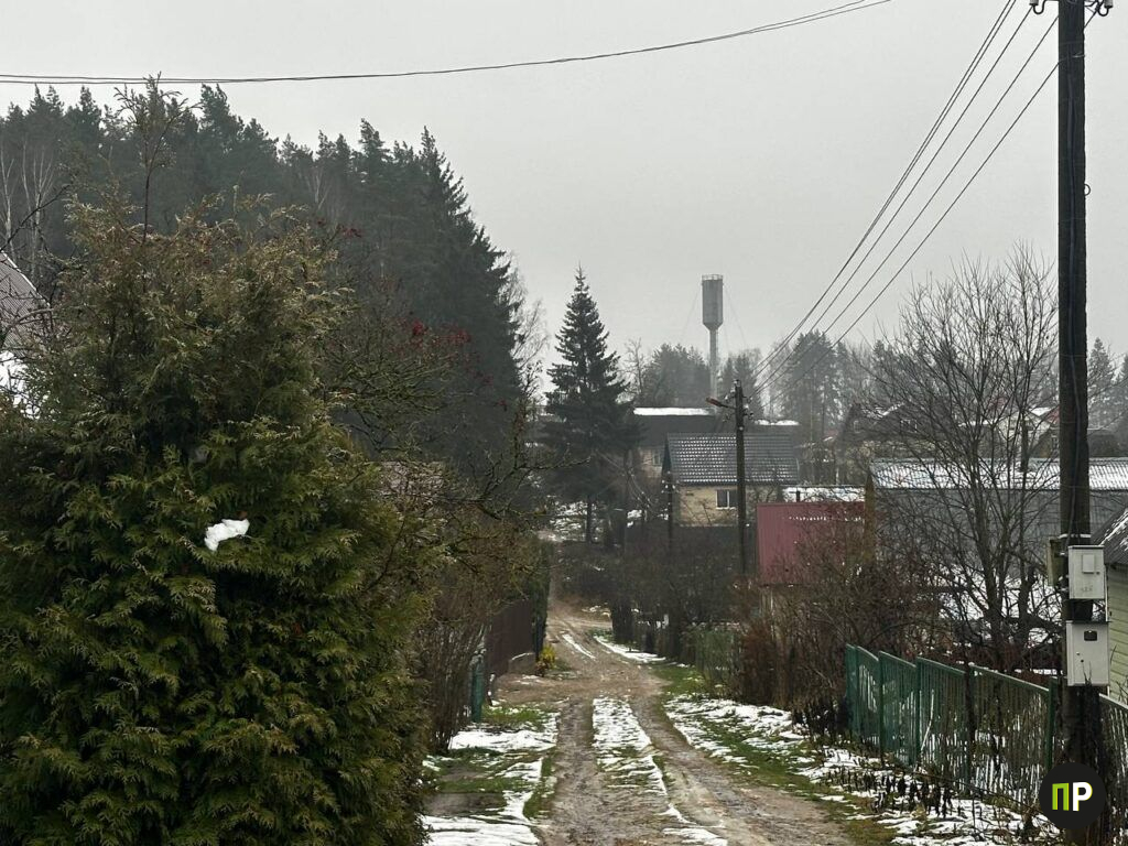 Пока дачники под Минском жалуются в TikТok, власти решают их проблему с электричеством