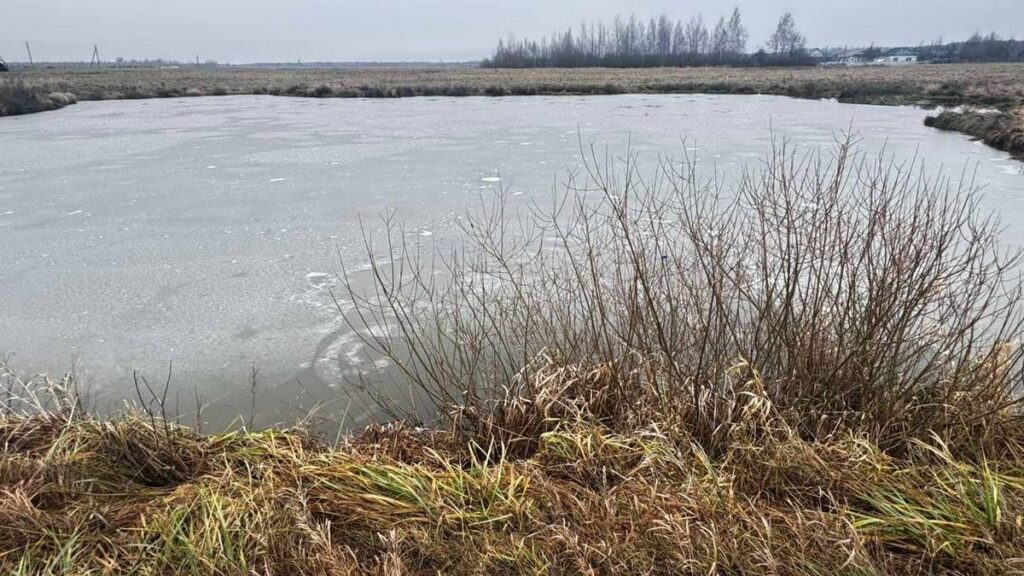 Тело мужчины обнаружено в водоеме в Борисовском районе