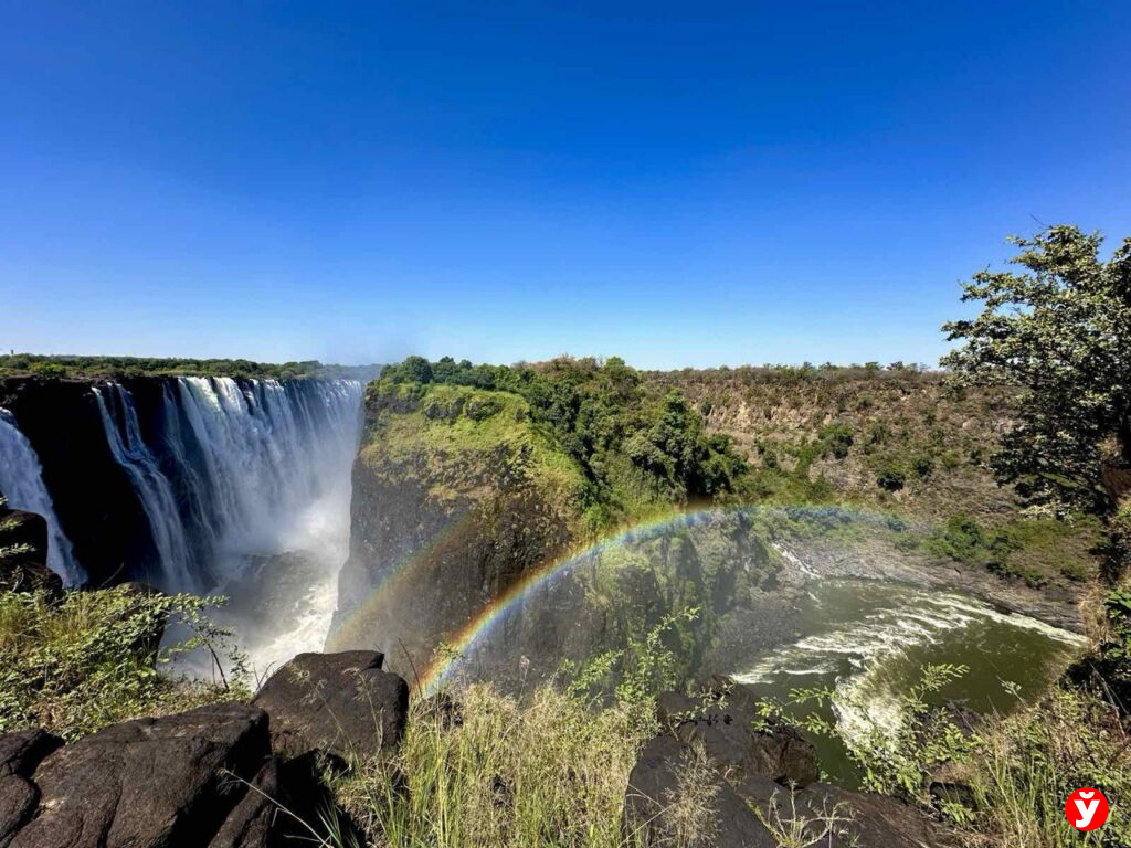 Битва титанов в Африке: как Беларусь первой увидела потенциал Черного континента