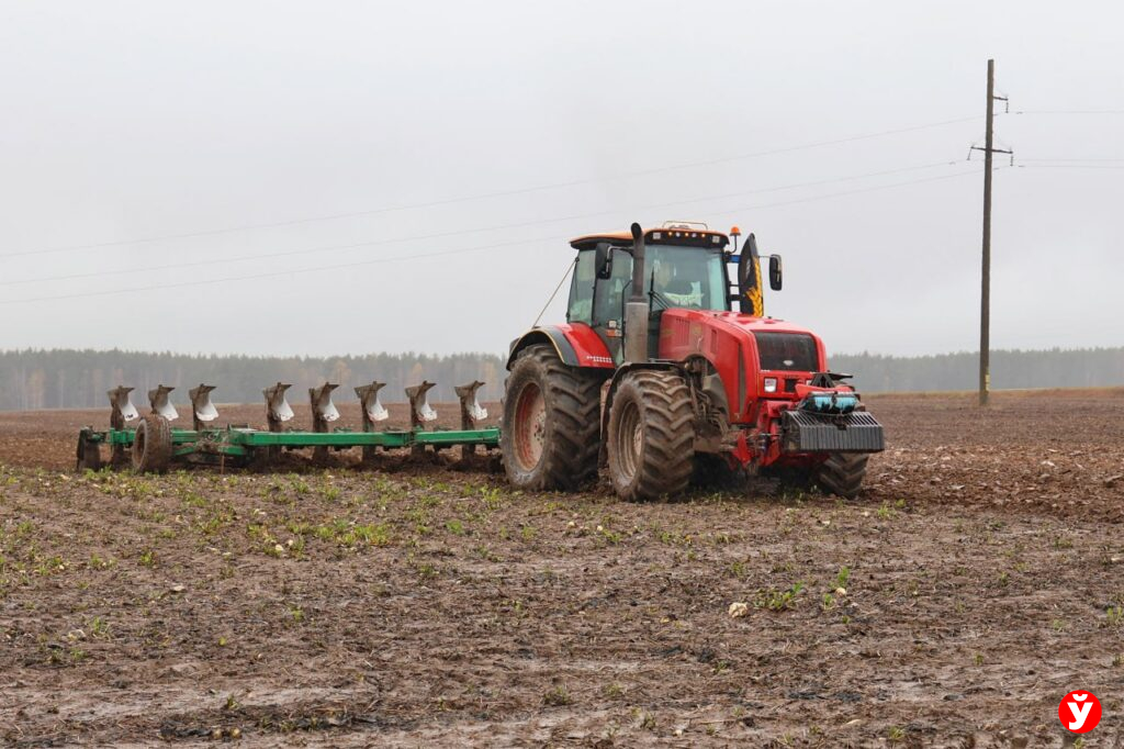 Как в Дзержинском районе создают интернациональную команду для белорусской глубинки