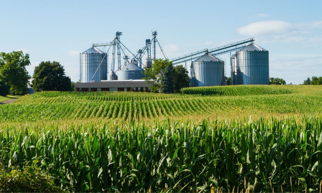 Коллектив, технологии и перспективы: формула эффективного АПК