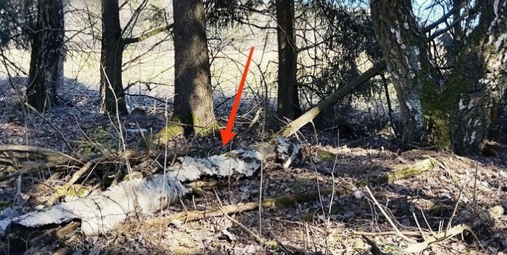 В Минской области накрыли сеть наркомаркета: шесть задержанных, килограммы «синтетики» изъяты