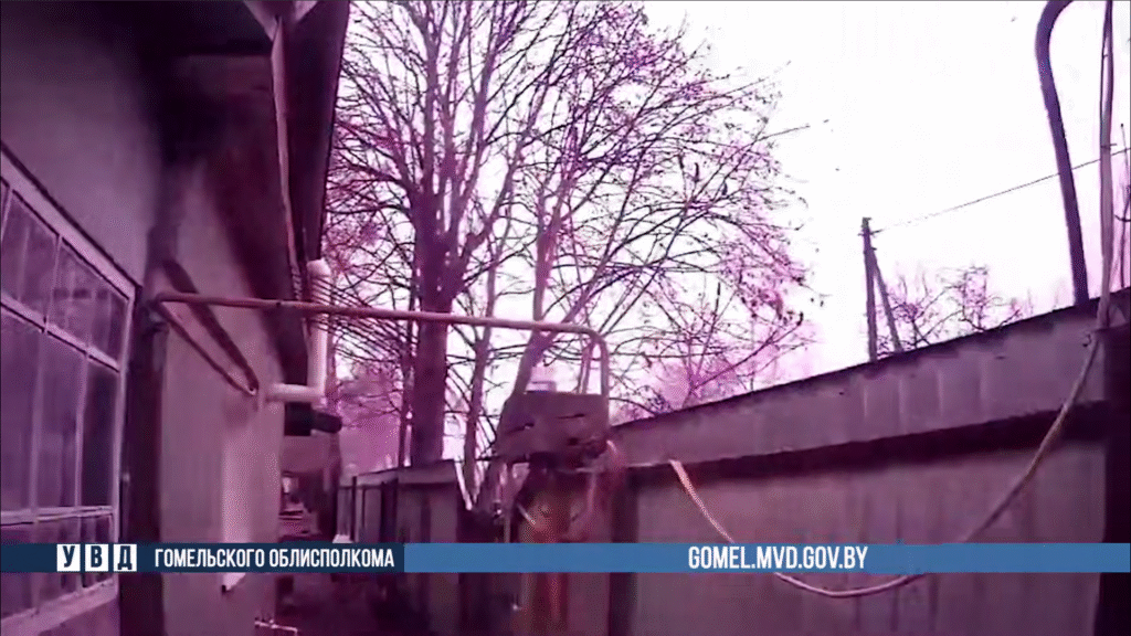 Собака с признаками бешенства покусала мужчину — милиционеры применили оружие