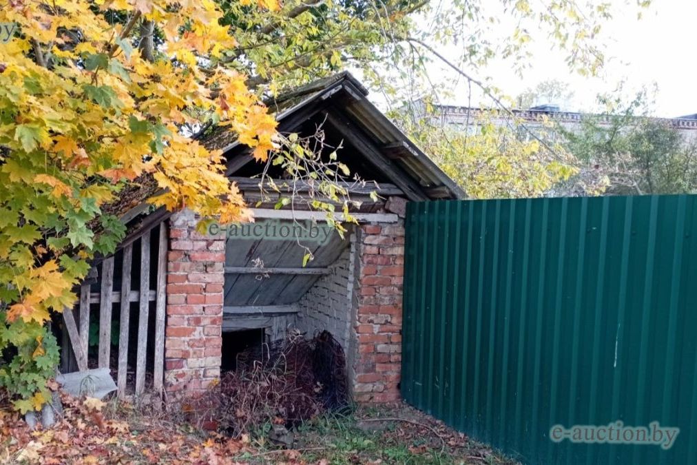 Свой погреб за 424 рубля — на аукционе продают необычный лот в Солигорском районе