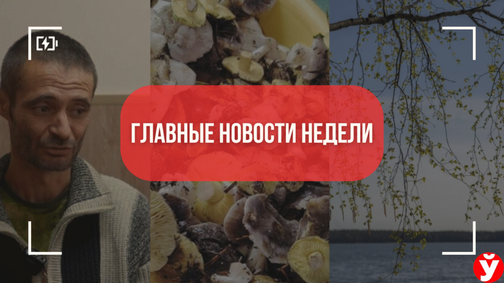 ТОП-5 новостей Минщины: суперсанаторий на Нарочи, блогер-«эколог» и осенняя охота за грибами