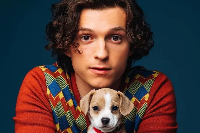 Россияне атакуют Тома Холланда — требуют, чтобы вернул деньги Долиной