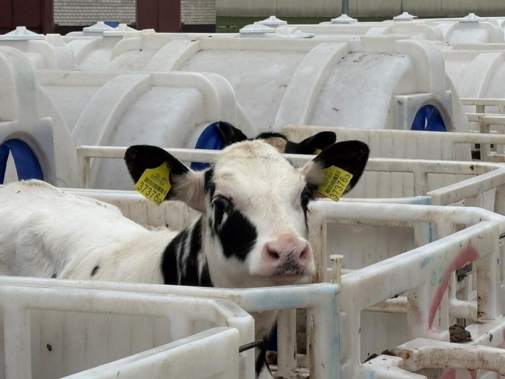 крупнейшее сельхозпредприятие Слуцкого района