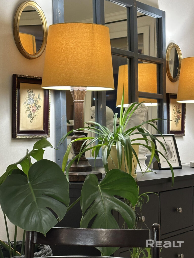 аренда квартиры ул. Жореса Алферова, 5