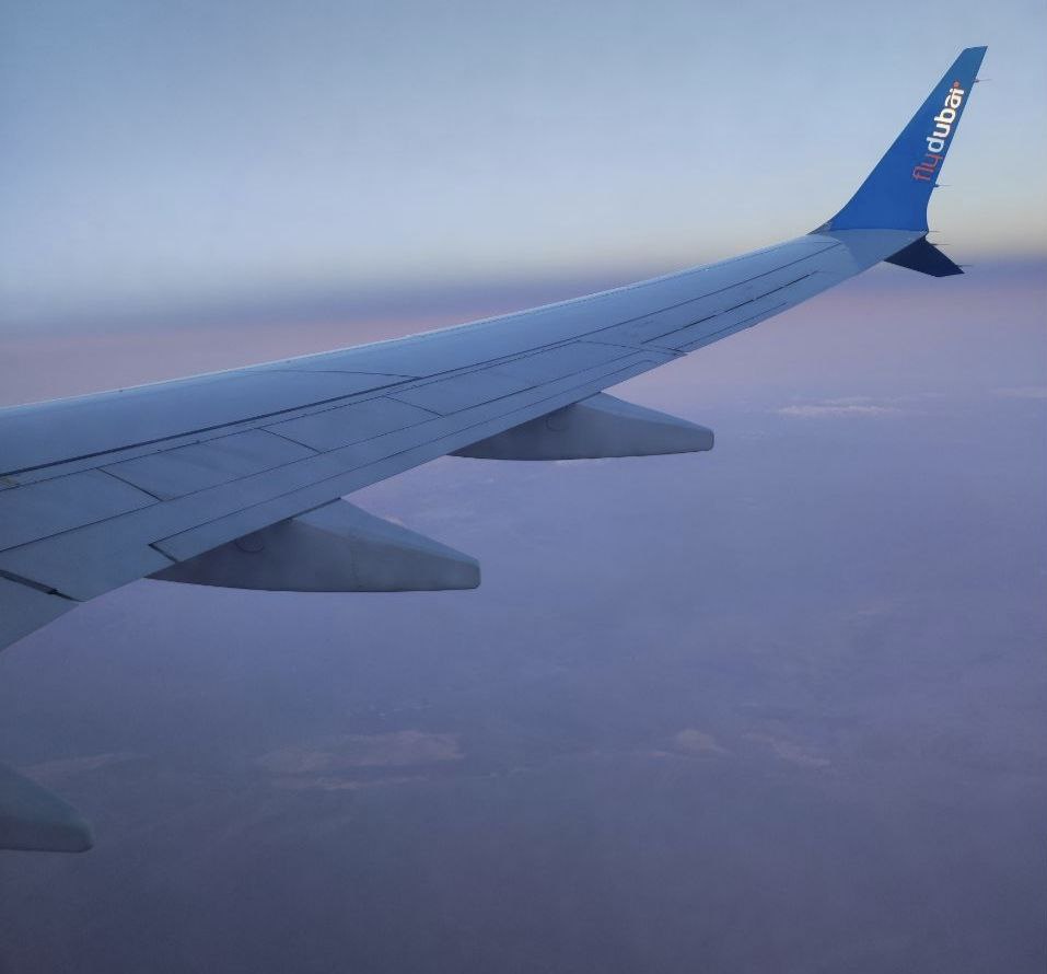 «У меня для вас не очень хорошие вести»: самолет не смог сесть в Могилеве