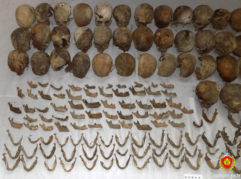 На останках мирных жителей в Жабинковском районе найдены пулевые отверстия