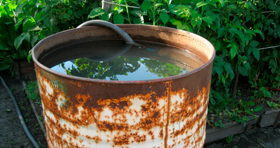 Пенсионер погиб, утонув в бочке с водой в Гомельском районе