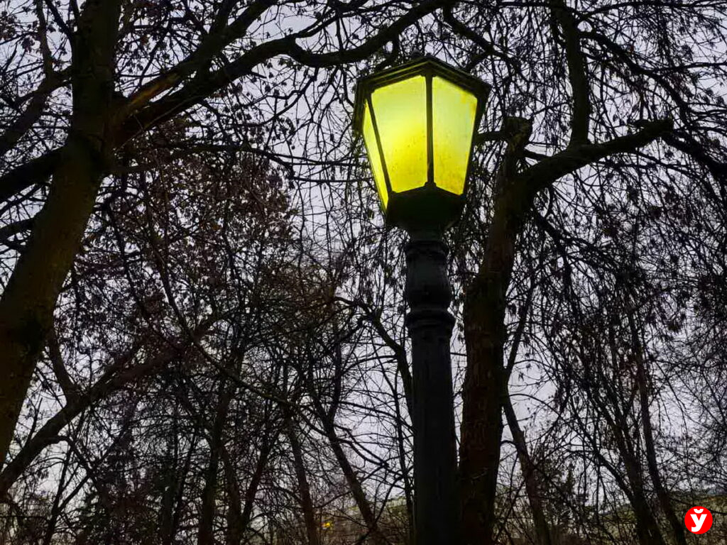 Снег, дождь и гололёд: какие сюрпризы готовит погода 14 декабря