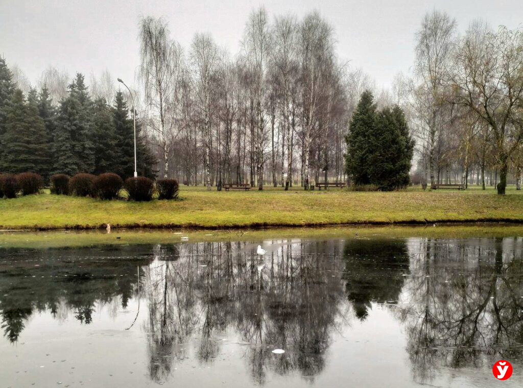 Сильный туман накроет Беларусь 16 декабря