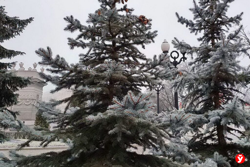 Синоптики предупредили о резком похолодании до -12 °С на вторник — но лишь в одной области