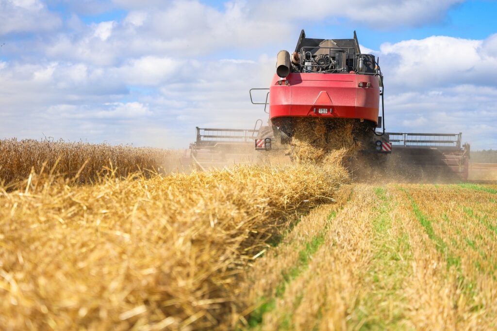 От рекордов в АПК до новых школ — Кушнаренко назвал ТОП достижений Минщины в 2025 году