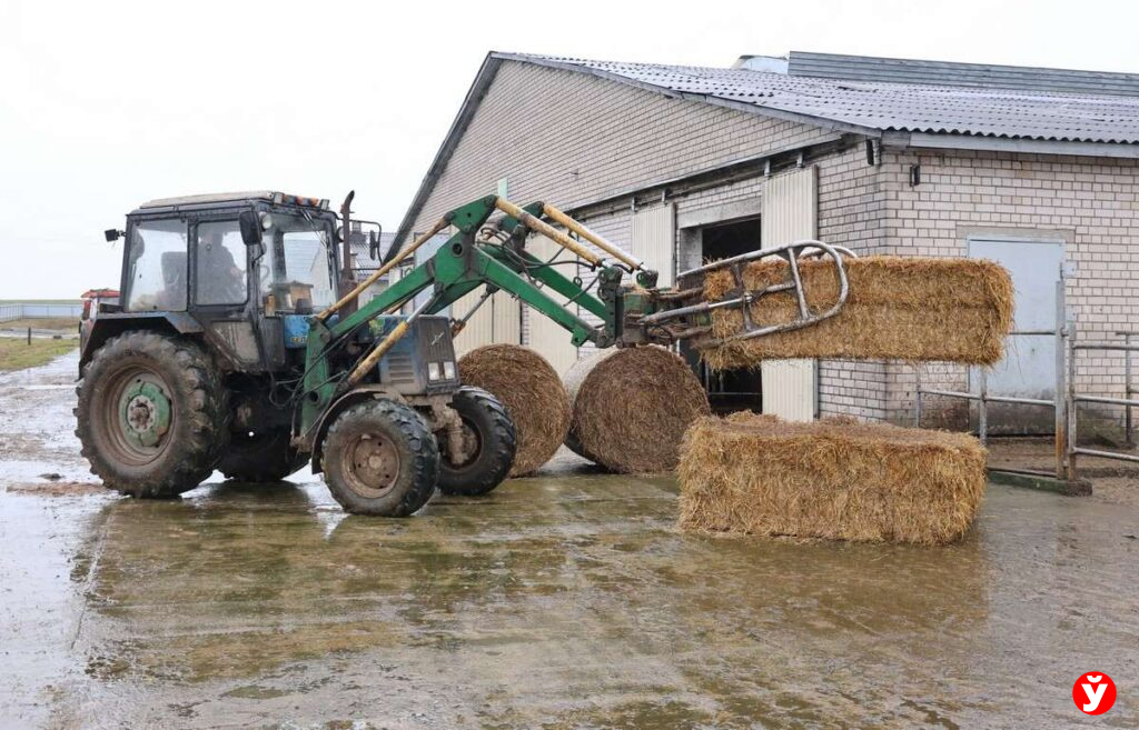 Хозяйство в Дзержинском районе