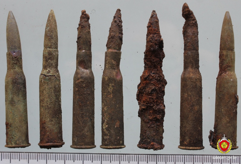 В Свислочском районе найдены патроны времен ВОВ — один пригоден к стрельбе