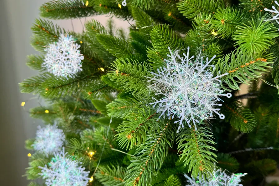 Снежинки, ёлки и символ года: главные покупки белорусов на Wildberries перед праздниками