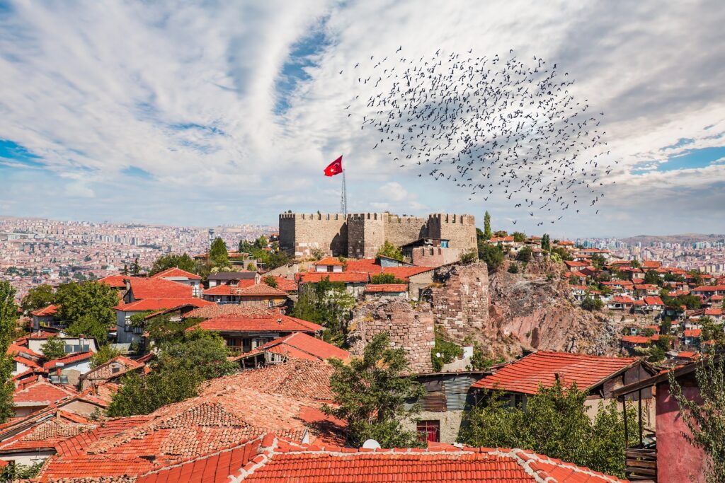 Пятая сверхдержава: как Анкара хоронит европейские амбиции на Кавказе