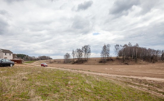 Участок в Ратомке выставили за долги — сколько стоит и в чем нюанс