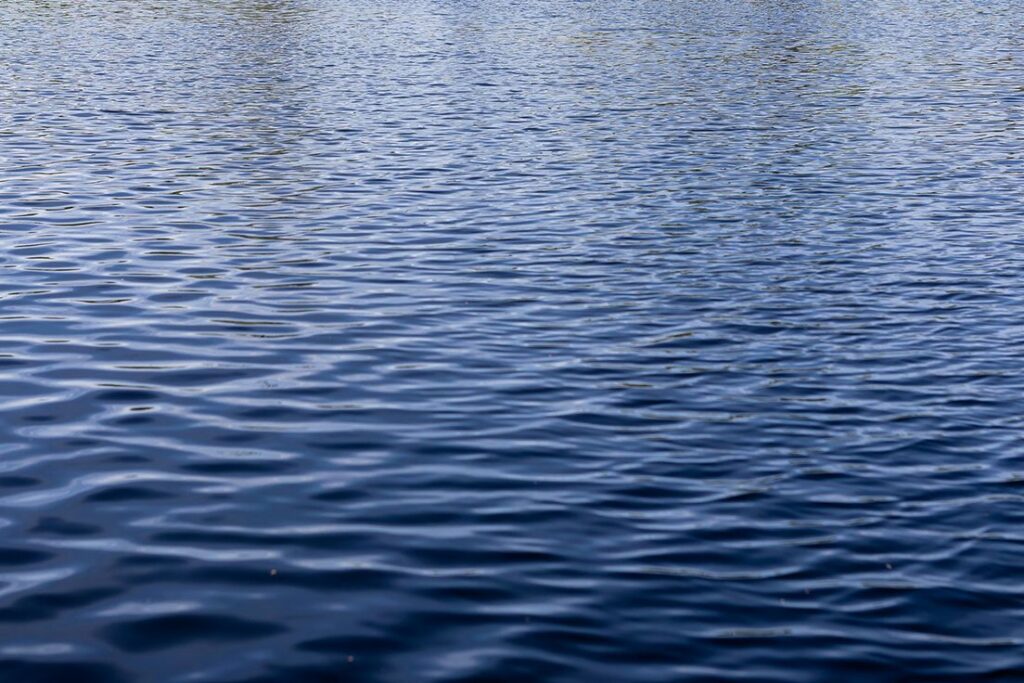 Женщина утонула в водоеме под Молодечно