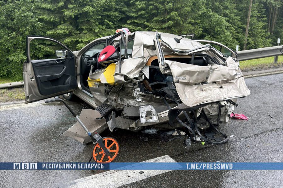 Суд приговорил виновника ДТП под Минском к 10 годам колонии — в аварии погибла семья из России