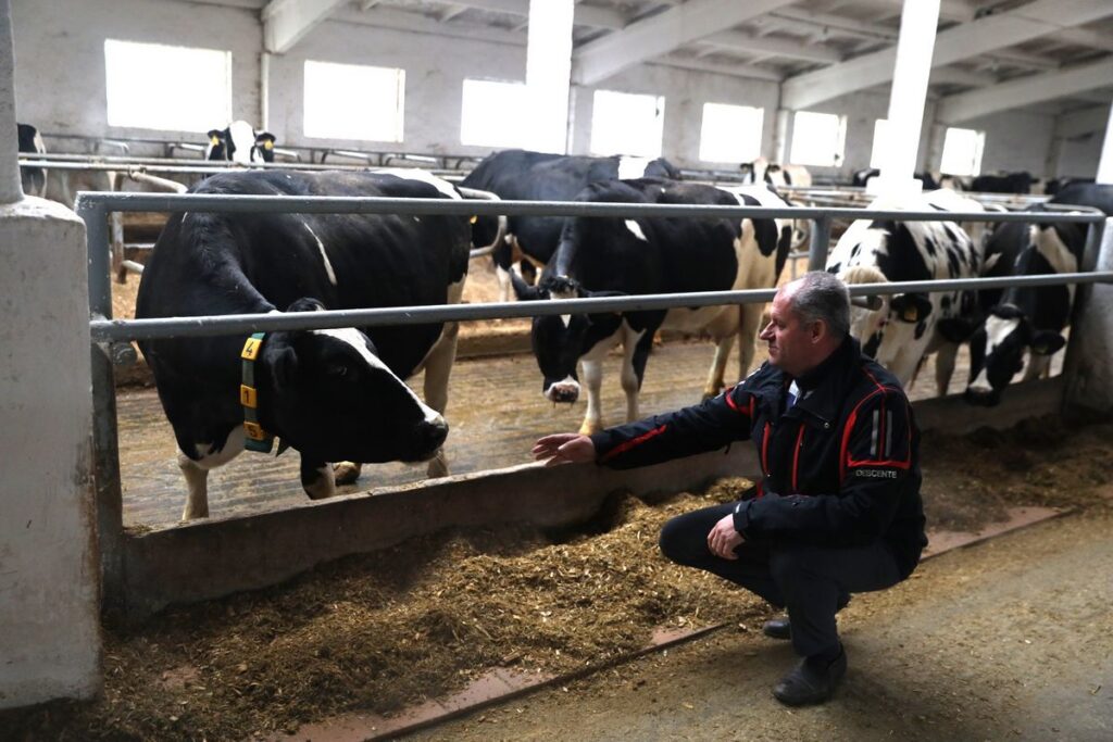 70 лет роста: как хозяйство «Больтишки» превратилось в агрофлагман с выручкой в 25 млн