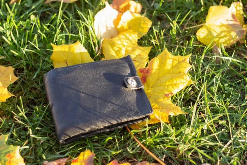 Через 6 месяцев — деньги становятся вашими: в милиции рассказали, что делать с находкой на улице