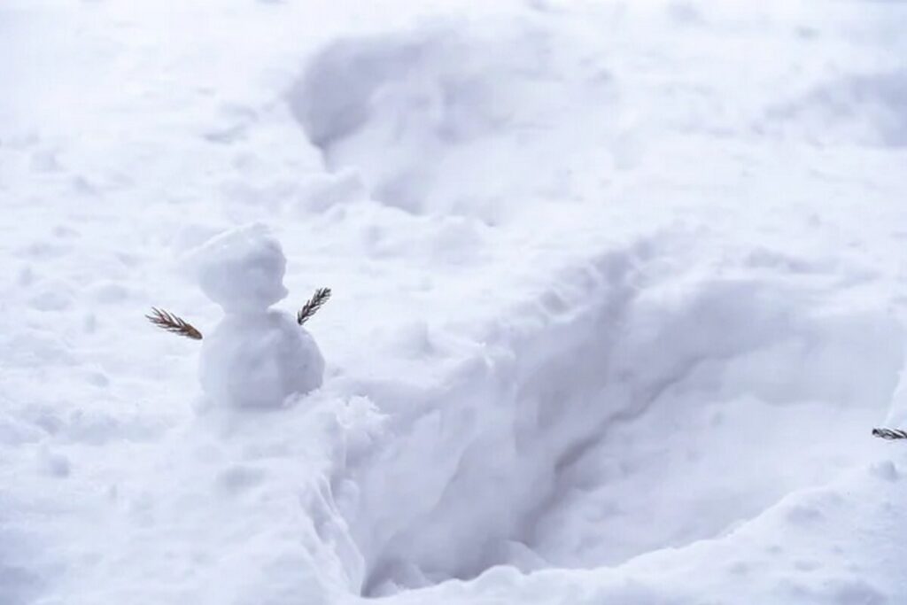 Будут ли белорусы встречать Новый год со снегом, рассказали синоптики